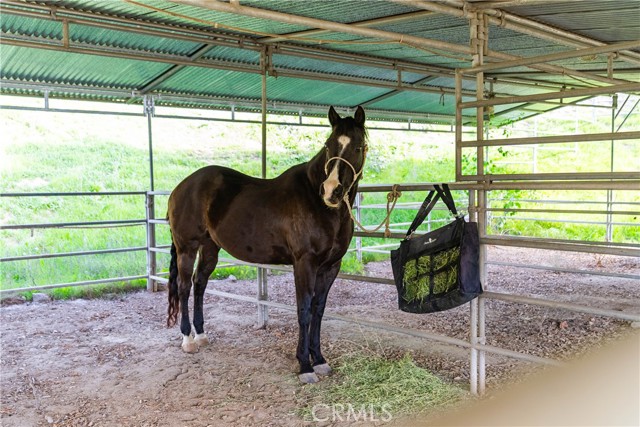 28132 Oak Spring Canyon, Canyon Country CA: https://media.crmls.org/medias/800d7eb5-5b79-46d4-bd0d-ceeaaf227cb2.jpg