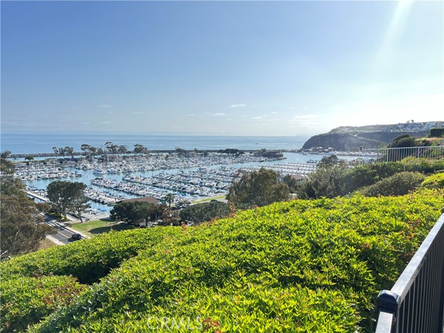 34121 La Serena Drive, Dana Point CA: https://media.crmls.org/medias/800f2b53-326b-4b60-aeb2-da55a218f6a5.jpg