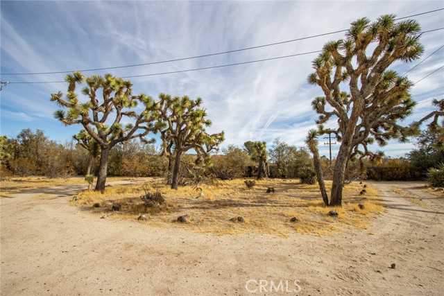 Detail Gallery Image 14 of 26 For 56422 Paseo Los Ninos, Yucca Valley,  CA 92284 - 1 Beds | 1 Baths