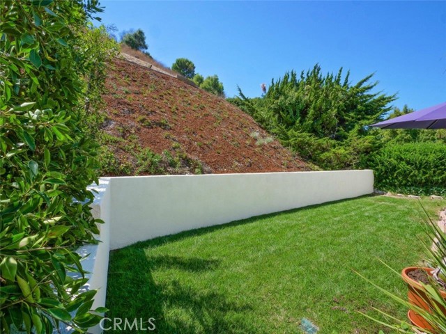 Newly Planted Hillside. Private and Quiet Backyard