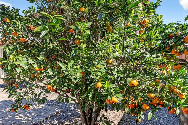 Detail Gallery Image 31 of 63 For 36461 Gambrel Gate Lane, Winchester,  CA 92596 - 4 Beds | 3 Baths