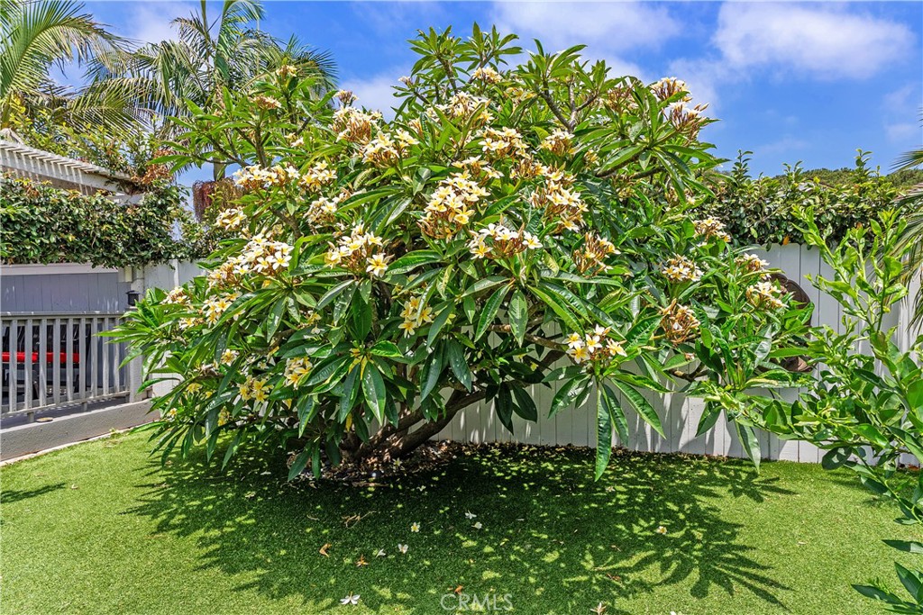 https://media.crmls.org/medias/801eddf1-f678-4ca6-b3d1-5c70a30012c3.jpg?preset=X-Large