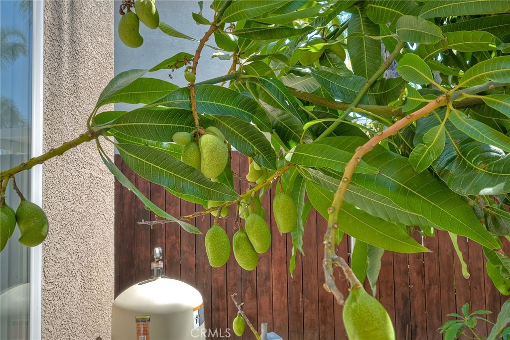 https://media.crmls.org/medias/801ee1e0-13ae-4e41-b72b-b3544f16cd0d.jpg?preset=X-Large