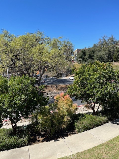 Detail Gallery Image 12 of 24 For 290 Sequoia Ct #25,  Thousand Oaks,  CA 91360 - 2 Beds | 1 Baths