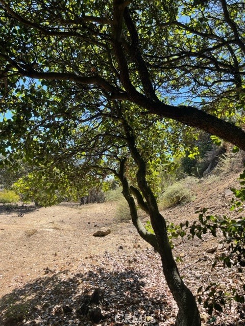 0 Subdivision 1033, Lot 19, Los Angeles CA: https://media.crmls.org/medias/802f7d3e-1486-4a47-89a9-7fb0e9aeeadc.jpg