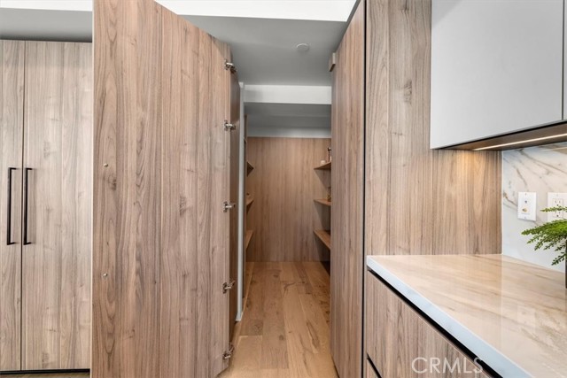 Huge Walk-in Pantry