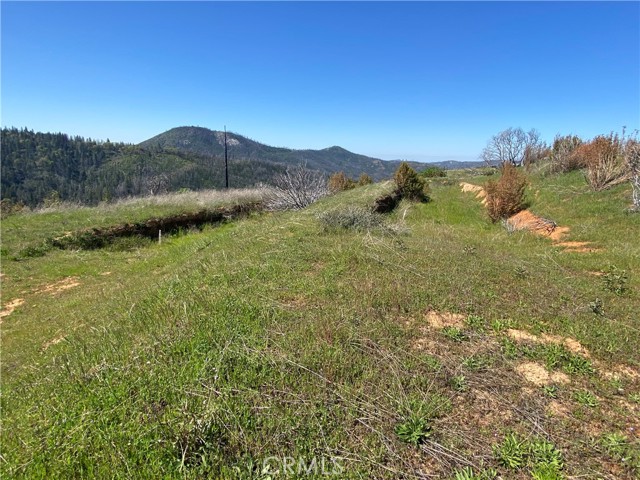 Detail Gallery Image 21 of 46 For 321 Long Point Rd, Oroville,  CA 95966 - – Beds | – Baths