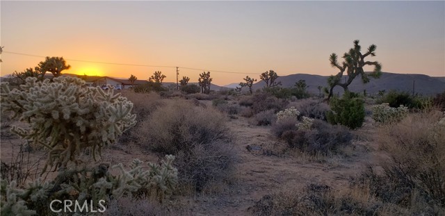 Detail Gallery Image 1 of 19 For 0 Canton St, Yucca Valley,  CA 92284 - – Beds | – Baths