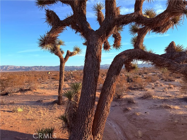 Thumbnail for 2700 Del Sol, Joshua Tree, CA 92252