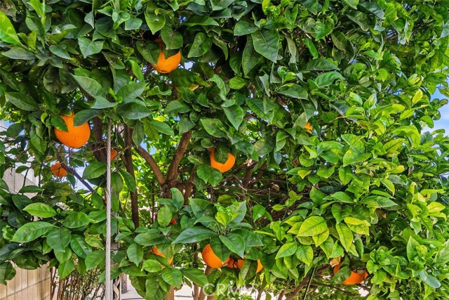 Image 26 of 39 For 8792 Grindlay