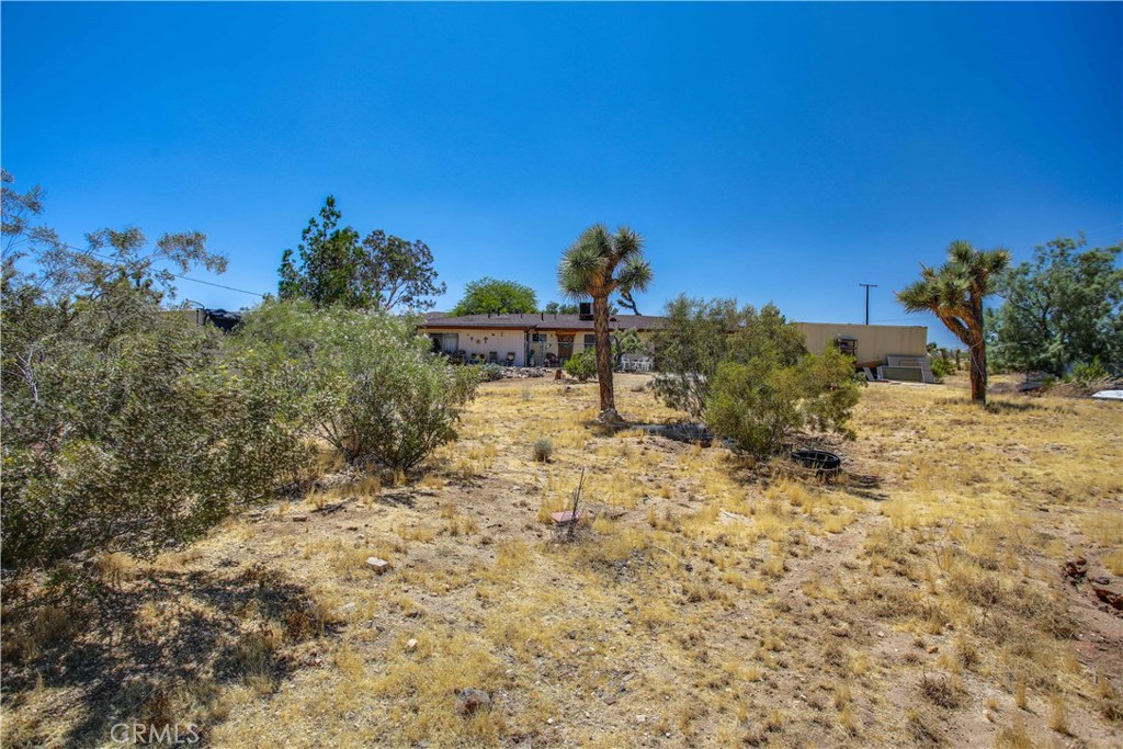 MLS #JT25238797 image #41