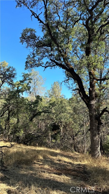 0 Rich Gulch Road, Yankee Hill, California 95965, ,Land,For Sale,0 Rich Gulch Road,CRSN23101845