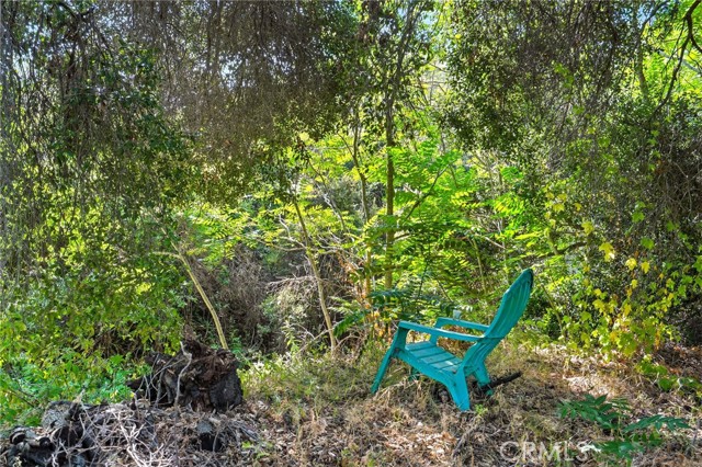 Detail Gallery Image 12 of 21 For 20219 Paradise Ln, Topanga,  CA 90290 - – Beds | – Baths
