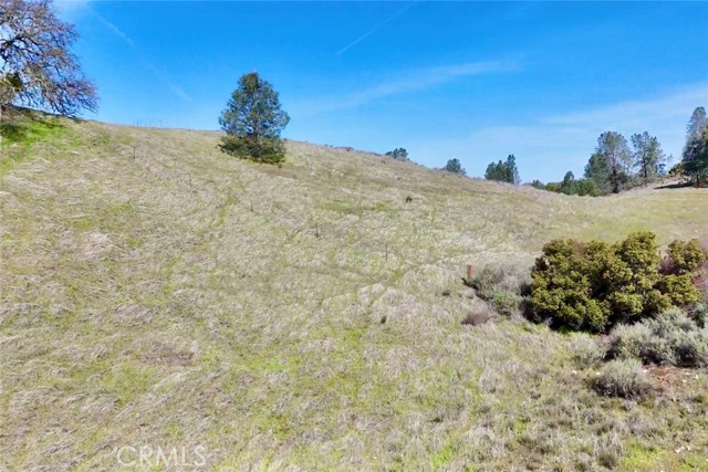 Detail Gallery Image 13 of 17 For 0 Bryson Hesperia Rd, Bradley,  CA 93426 - – Beds | – Baths