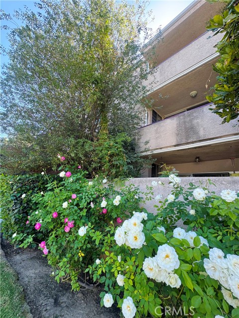 Detail Gallery Image 26 of 28 For 4487 Colbath Ave #101,  Sherman Oaks,  CA 91423 - 1 Beds | 1 Baths
