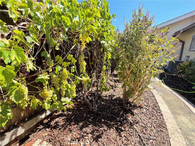 Detail Gallery Image 16 of 17 For 3279 Firtree Way, Paso Robles,  CA 93446 - 3 Beds | 2 Baths