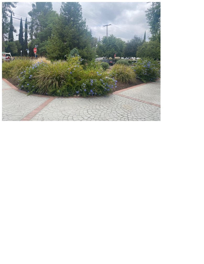 https://media.crmls.org/medias/805c3396-31bc-4ea6-8179-b1b12d02200b.jpg?preset=X-Large