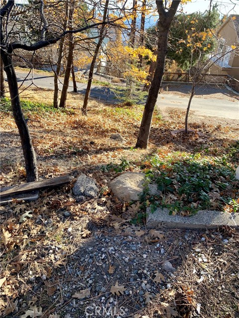 Detail Gallery Image 3 of 21 For 40 Park, Running Springs,  CA 92382 - – Beds | – Baths