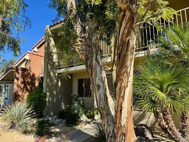 Detail Gallery Image 4 of 47 For 303 Tava Ln, Palm Desert,  CA 92211 - 3 Beds | 2 Baths