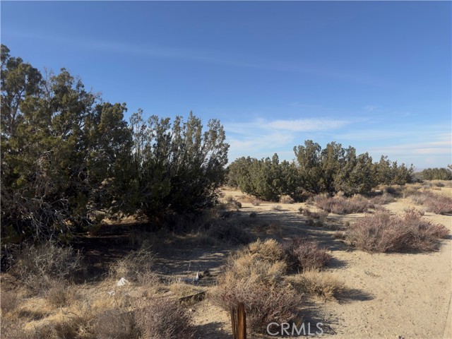 0 Avenue Y, Llano CA: https://media.crmls.org/medias/8068d691-492b-4bd8-b6cc-e7c6af9ac777.jpg