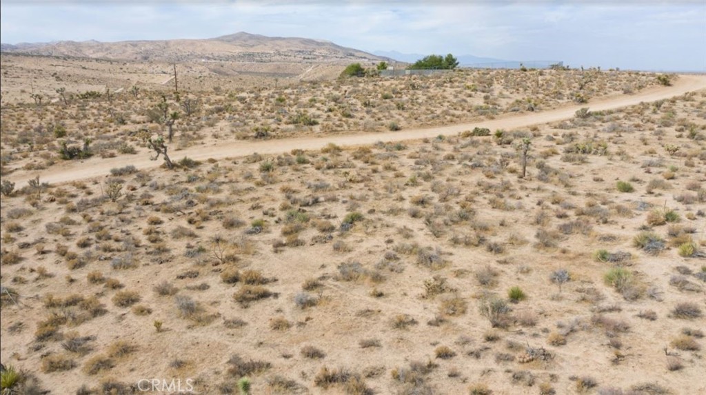Image 13