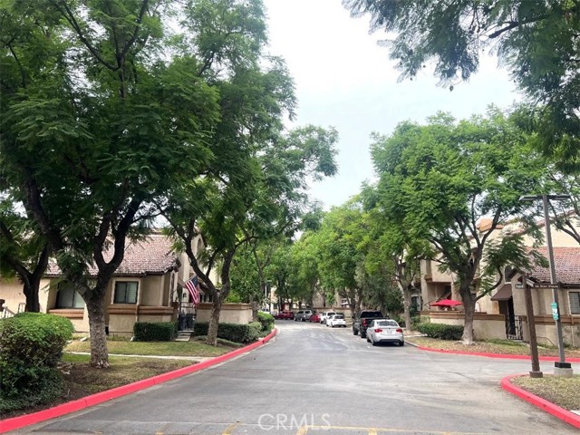 22 Mesquite photo 33