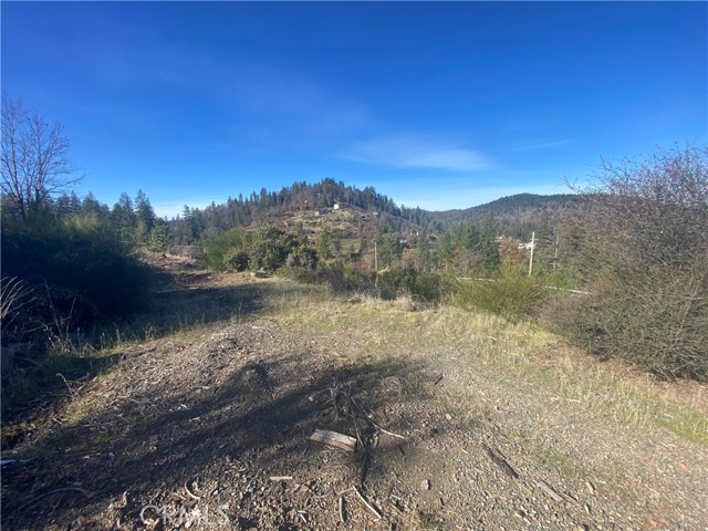 Front Image Thumbnail for CRLC25270218