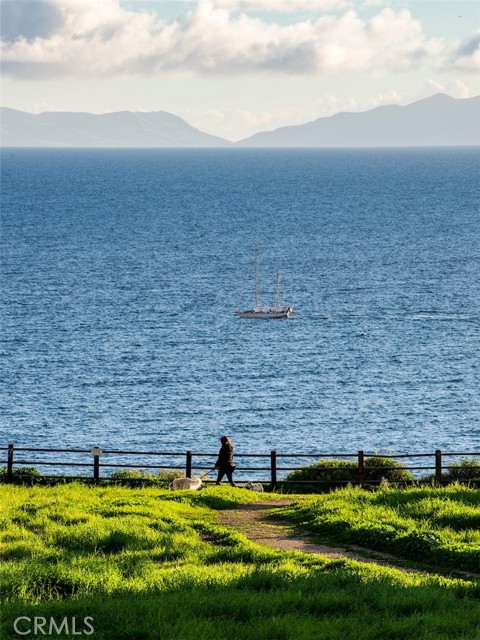 Ocean View Off of Terranea - Surrounding Area