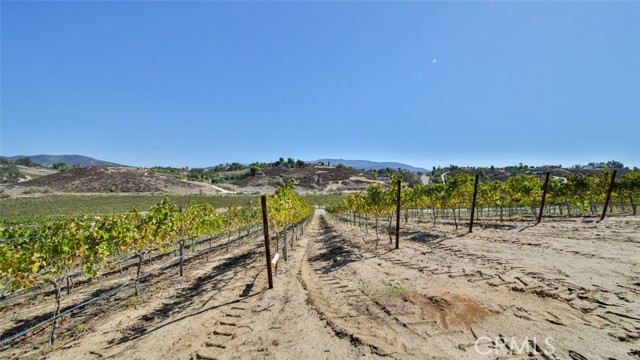 Detail Gallery Image 29 of 39 For 0 Valle Toscana Ct, Temecula,  CA 92592 - – Beds | – Baths