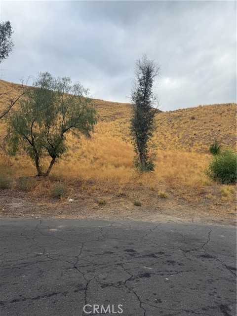 Front Image Thumbnail for CRIV25226878