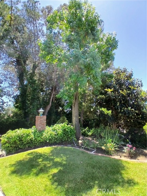 Detail Gallery Image 4 of 42 For 8184 Cielo Vista Dr, Whittier,  CA 90605 - 5 Beds | 3 Baths