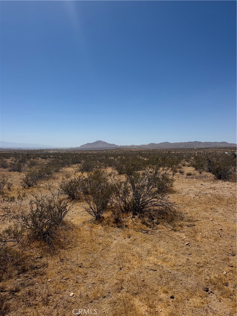 MLS #HD26168976 image #3