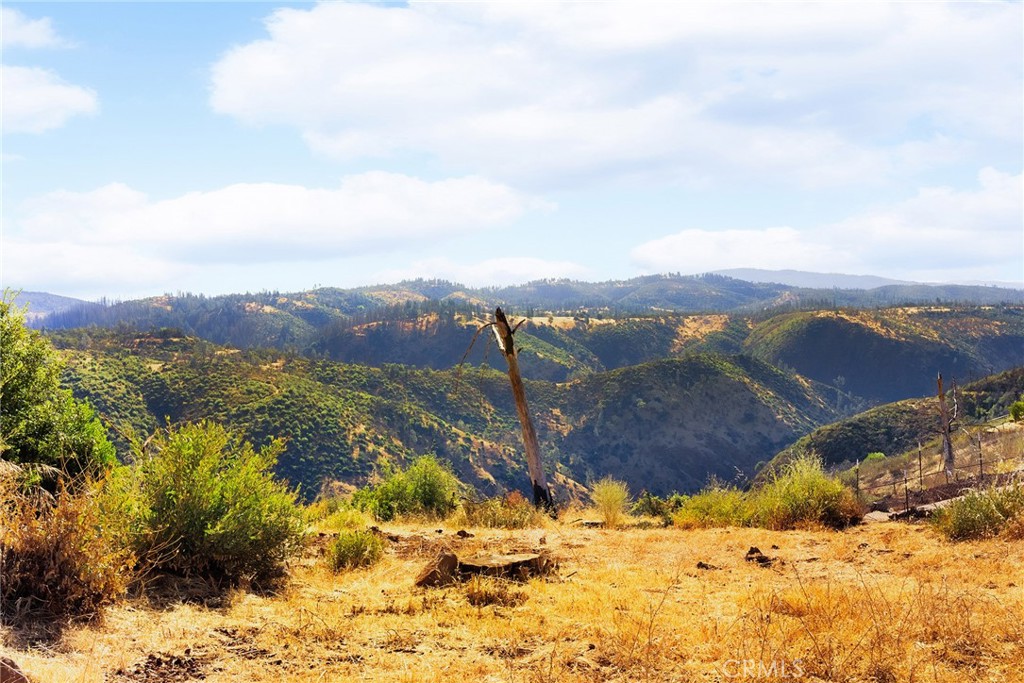 MLS #SN25248006 image #14