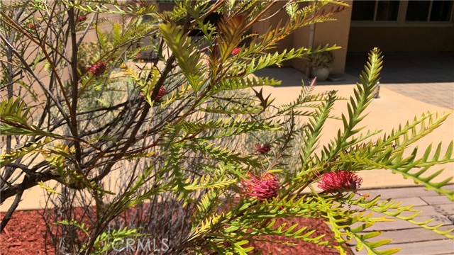 Detail Gallery Image 32 of 54 For 44207 Reidel St, Temecula,  CA 92592 - 5 Beds | 3/1 Baths