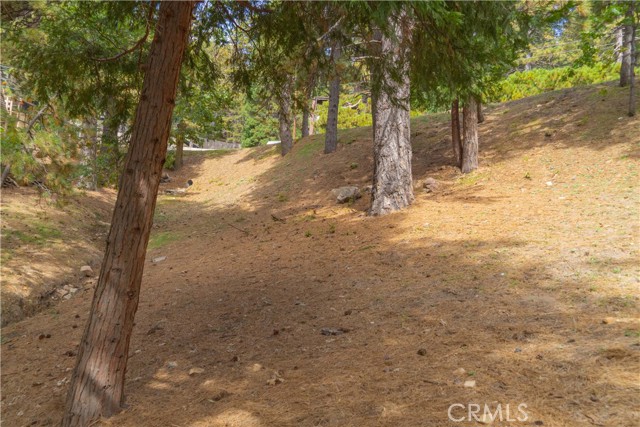 0 Circle View Drive, Running Springs, California 92382, ,Land,For Sale,0 Circle View Drive,CRRW23191615