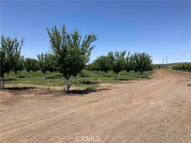 Detail Gallery Image 8 of 15 For 0 Volcano Way, Red Bluff,  CA 96080 - – Beds | – Baths