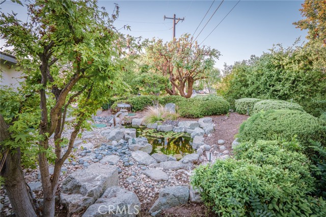 3455 Rancho Rio Bonita photo 39
