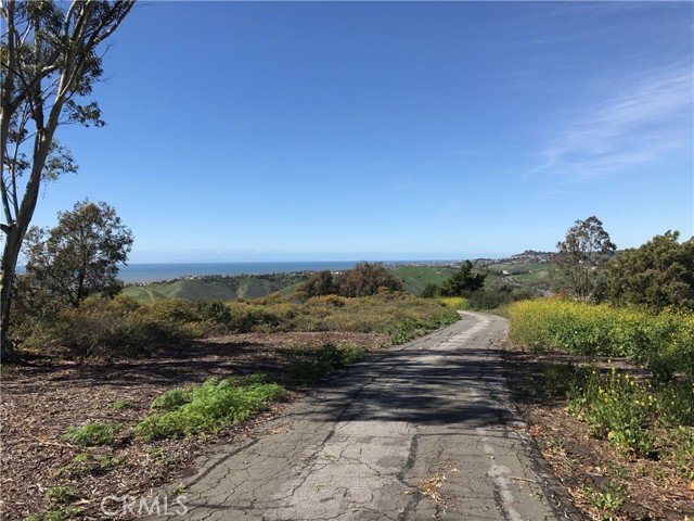 Detail Gallery Image 55 of 62 For 1003 via Presa, San Clemente,  CA 92672 - 2 Beds | 2/1 Baths