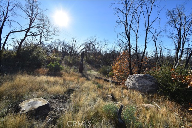 Detail Gallery Image 5 of 36 For 21 Cedar Tree Ln, Oroville,  CA 95966 - – Beds | – Baths