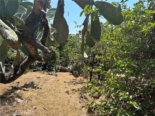Detail Gallery Image 2 of 6 For 1941 Delta St., Los Angeles,  CA 90026 - – Beds | – Baths