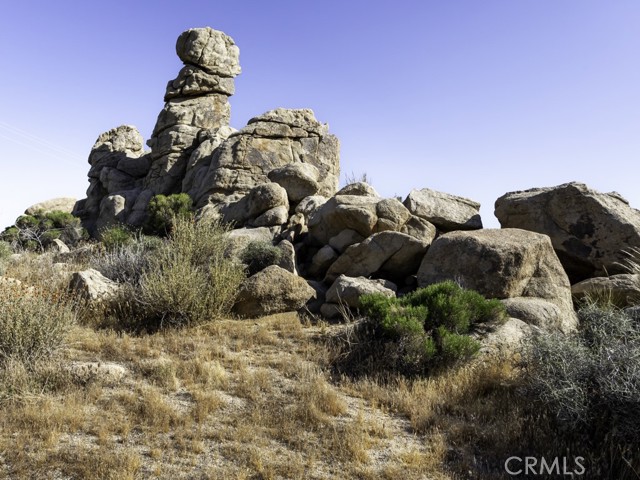 Detail Gallery Image 46 of 63 For 5564 Old Woman Springs Rd, Yucca Valley,  CA 92284 - 2 Beds | 1 Baths