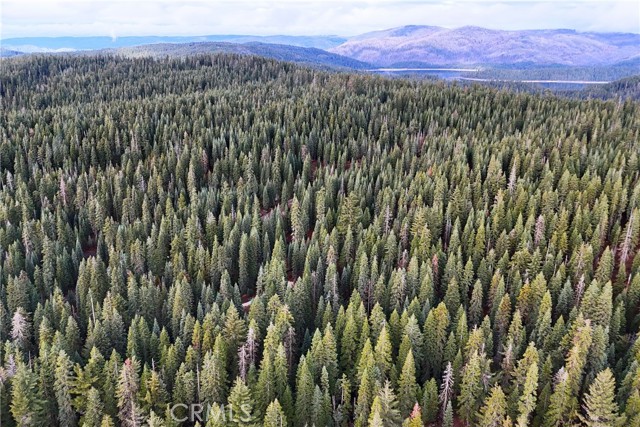 Detail Gallery Image 6 of 14 For 1100 Cleghorn Dr, Quincy,  CA 95971 - – Beds | – Baths