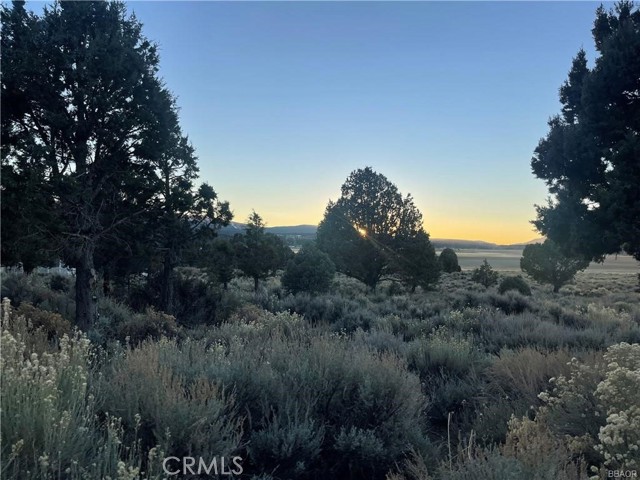 0 Baldwin, Big Bear City CA: https://media.crmls.org/medias/80c1cfa2-ac68-4956-9f17-b986dcdfb947.jpg