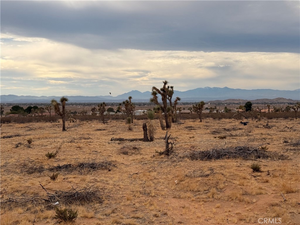 MLS #HD25266491 image #5