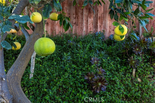 Detail Gallery Image 27 of 38 For 10022 Chula Vista Way, Riverside,  CA 92503 - 4 Beds | 2 Baths