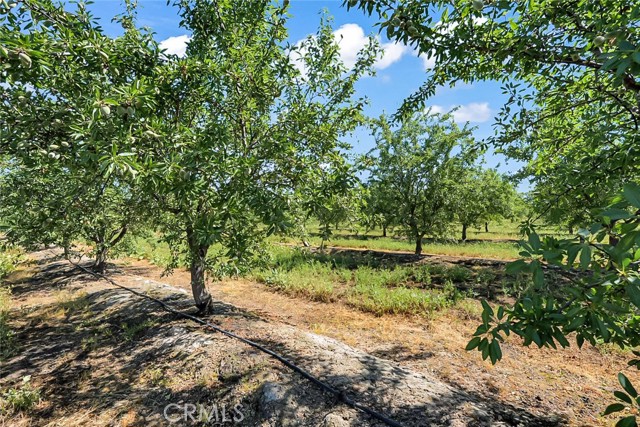 Image 1 of 21 For 0 Buchanan Hollow Road