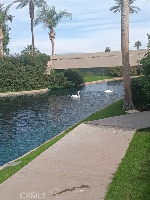 Detail Gallery Image 23 of 25 For 127 Lake Shore Dr, Rancho Mirage,  CA 92270 - 2 Beds | 2/1 Baths