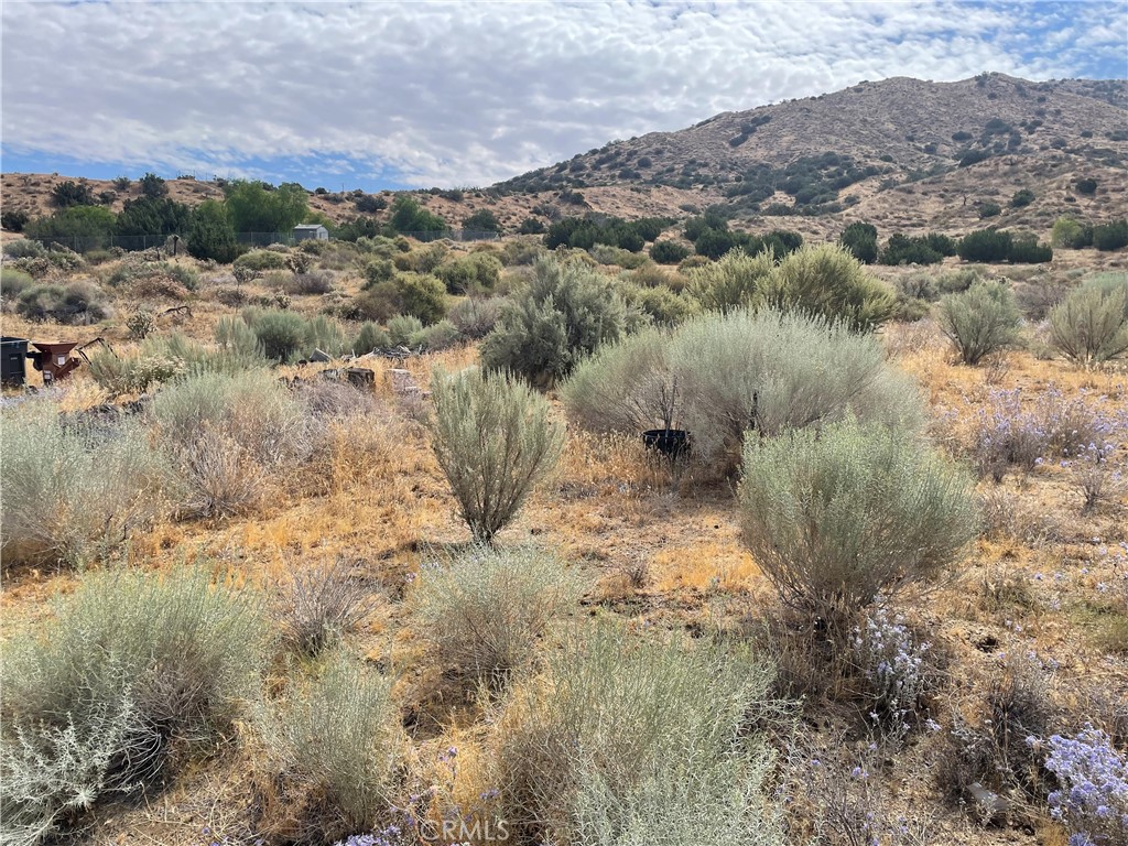 MLS #SR26174386 image #8