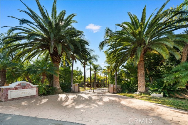 Front Image Thumbnail for CROC25276817