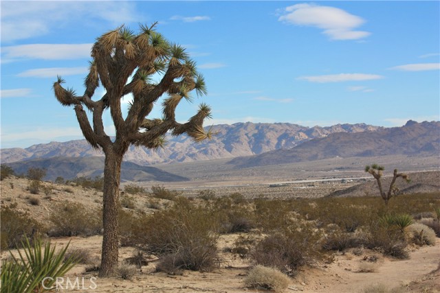 Detail Gallery Image 17 of 17 For 3025 Flamingo Ave, Joshua Tree,  CA 92252 - – Beds | – Baths